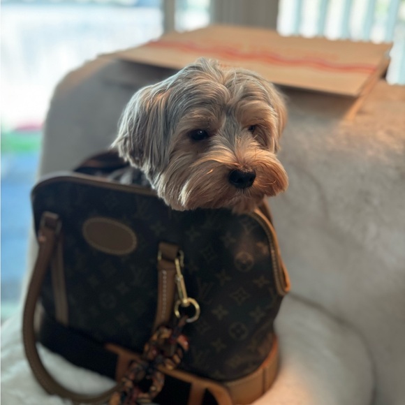 Louis Vuitton - Picture 9 of 13